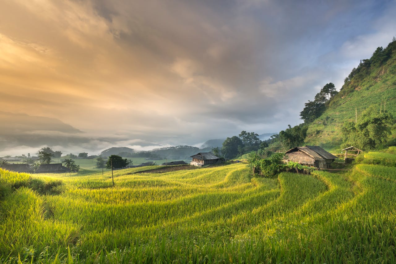 Beautiful sunrise over rice terraces with rustic huts, capturing serene countryside landscape.