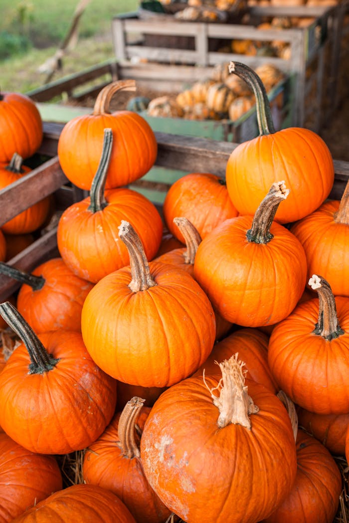 Colorful pumpkins stacked at a rustic farm stand, perfect for fall harvest themes.